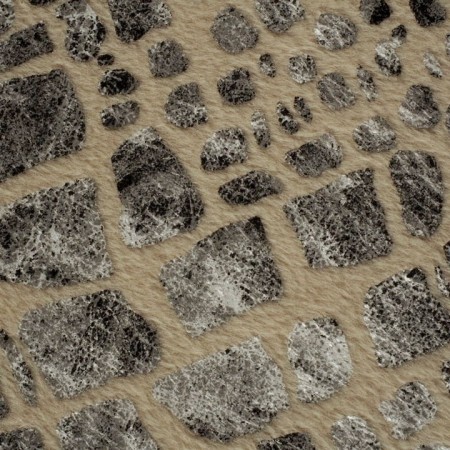 Velour animal print