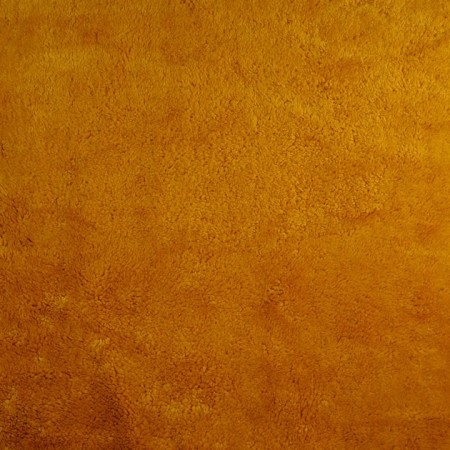Borrego amarillo