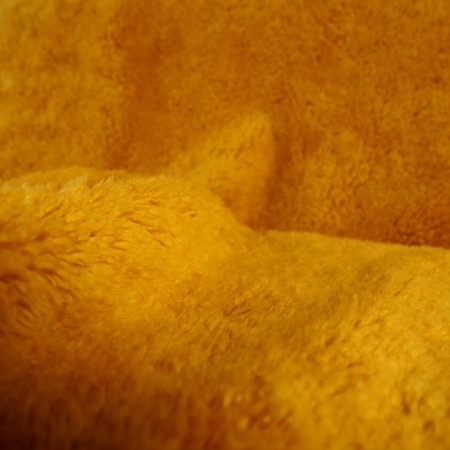 Borrego amarillo