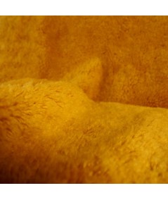 Borrego amarillo