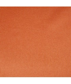 Rasete naranja