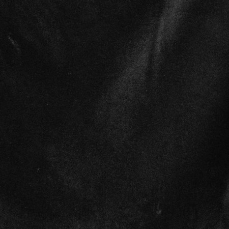 Terciopelo negro