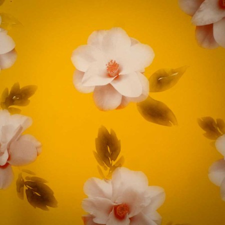 Estampado magnolia