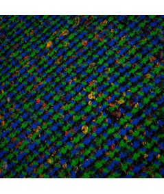 Tejido Fantasía Sastrera Tweed Multicolor para Blazer | Tejidos Katy