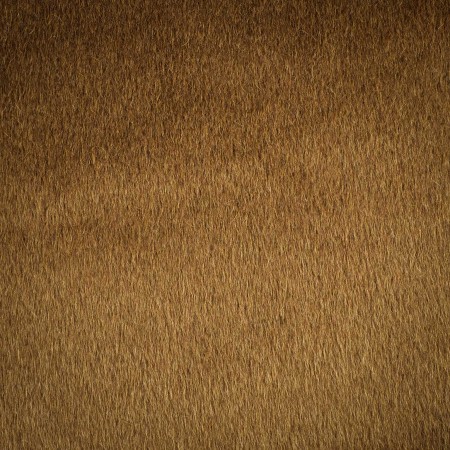 Paño Premium 100% Lana Camel Natural