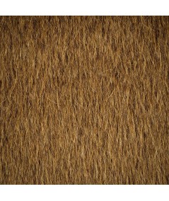 Paño Premium 100% Lana Camel Natural