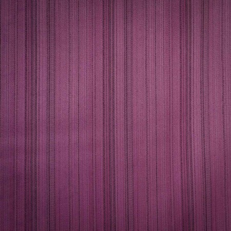 Dobby Raya Morada Elegante