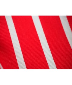 Sarga listada vertical roja
